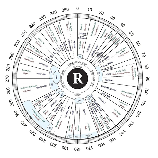 Iridology Chart